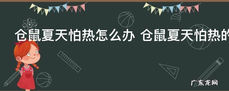 仓鼠夏天怕热怎么办 仓鼠夏天怕热的解决方法