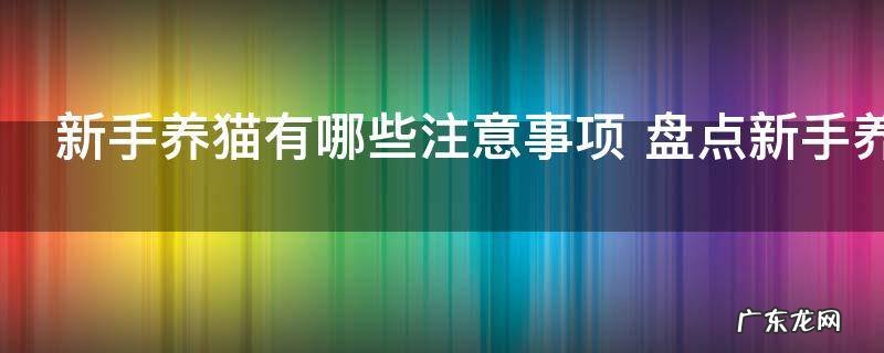 新手养猫有哪些注意事项 盘点新手养猫的注意事项