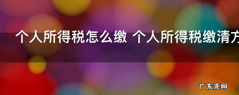 个人所得税怎么缴 个人所得税缴清方法
