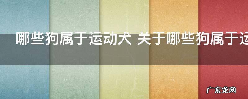 哪些狗属于运动犬 关于哪些狗属于运动犬