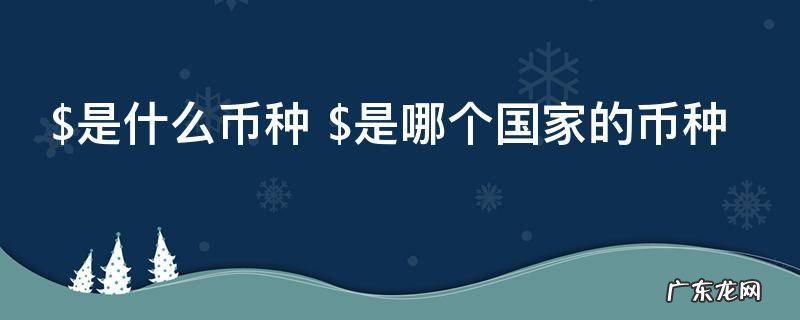 $是什么币种 $是哪个国家的币种