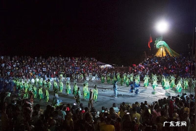 宝莲灯鱼对风水有影响吗视频