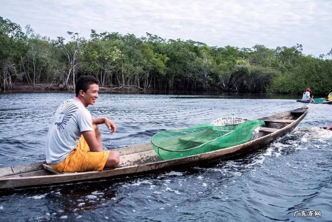 宝莲灯鱼对风水有影响吗视频