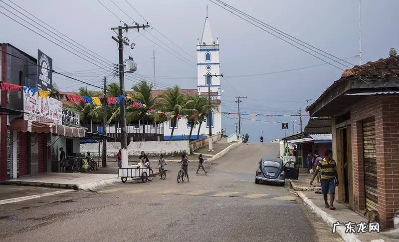 宝莲灯鱼对风水有影响吗视频