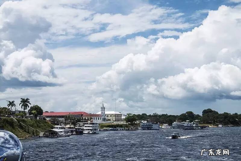 宝莲灯鱼对风水有影响吗视频