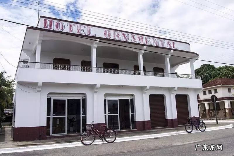 宝莲灯鱼对风水有影响吗视频