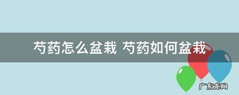 芍药怎么盆栽 芍药如何盆栽