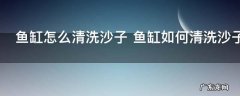 鱼缸怎么清洗沙子 鱼缸如何清洗沙子