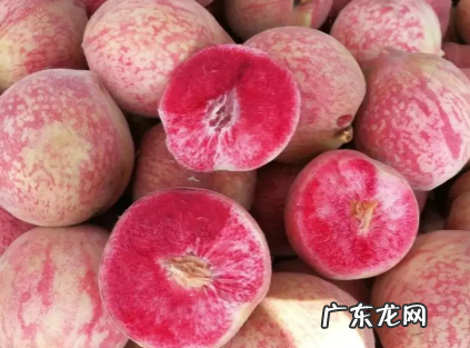 血桃放放会软吗