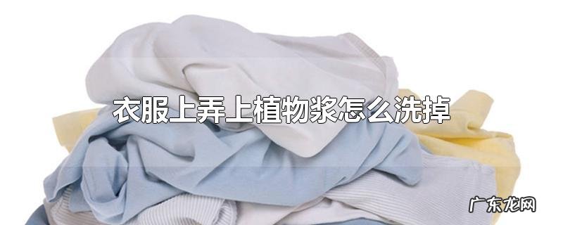 衣服上弄上植物浆怎么洗掉