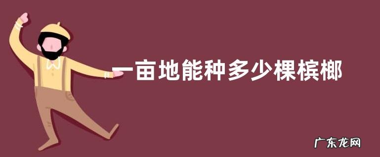 一亩地能种多少棵槟榔