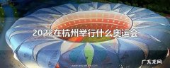 2022在杭州举行什么奥运会