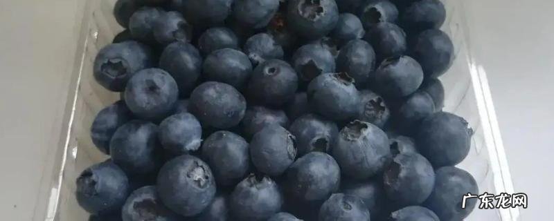 蓝莓能不能冷冻保存