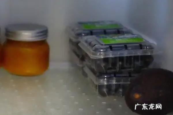 蓝莓能不能冷冻保存