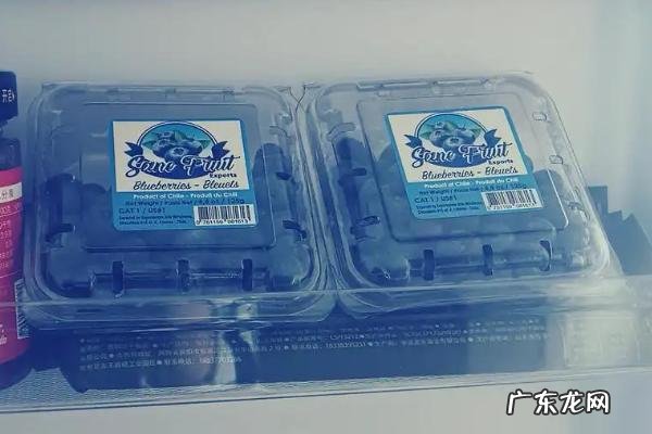 蓝莓能不能冷冻保存