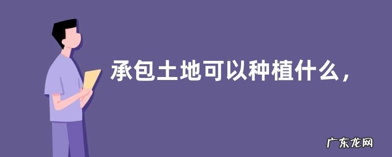 承包土地可以种植什么,种植项目分析