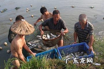 脑部疾病的风水调理 脑出血和什么风水有关