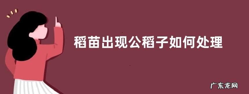 稻苗出现公稻子如何处理