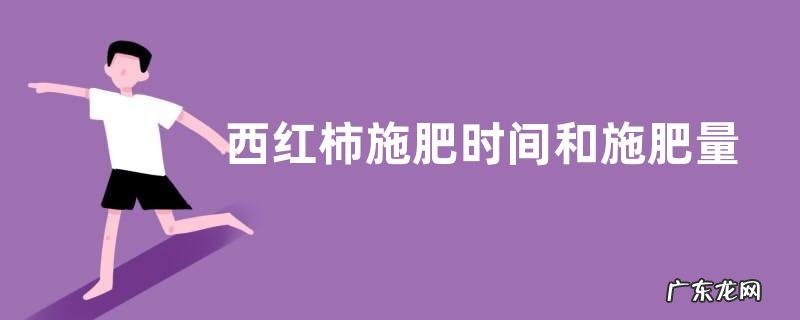 西红柿施肥时间和施肥量