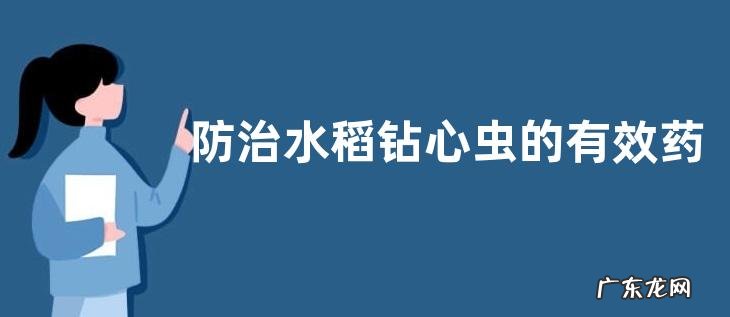 防治水稻钻心虫的有效药物