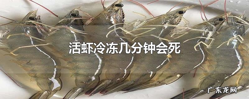 活虾冷冻几分钟会死