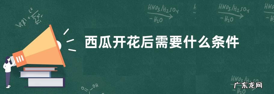 西瓜开花后需要什么条件才能结果