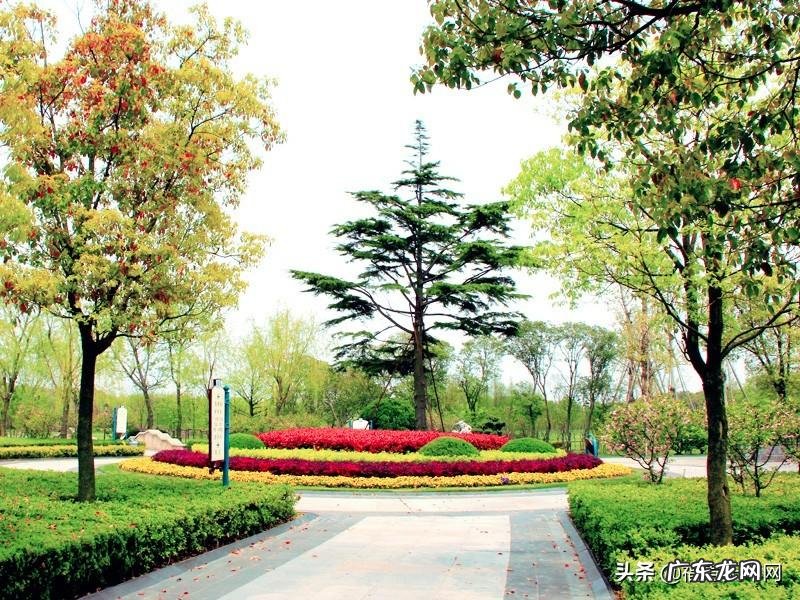 青岛哪个公墓风水好 上海郊区风水好的公墓咨询热线电话