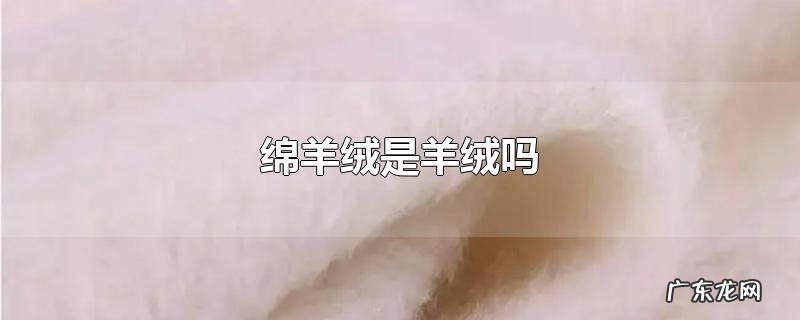 绵羊绒是羊绒吗