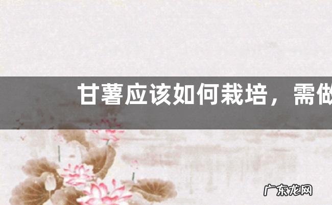 甘薯应该如何栽培,需做好以下四点