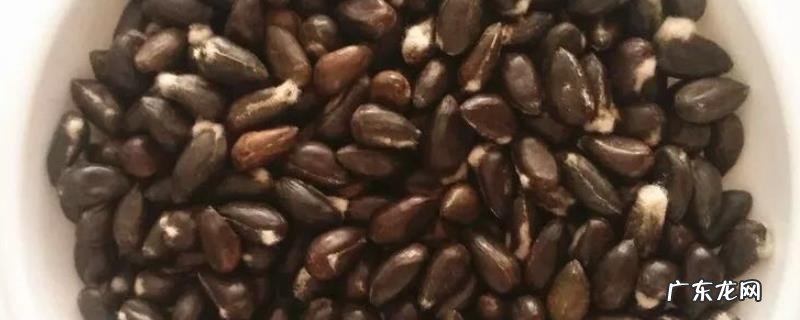 棉花种子什么颜色