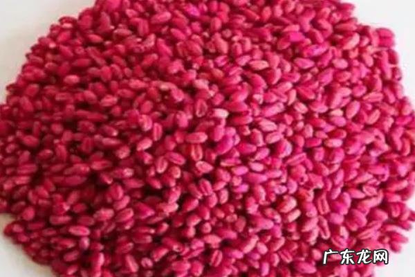 棉花种子什么颜色