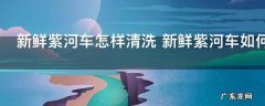 新鲜紫河车怎样清洗 新鲜紫河车如何清洗