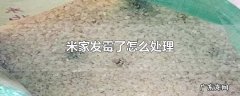 米家发霉了怎么处理