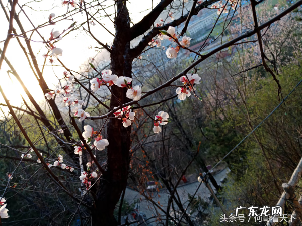 村口大石头放的位置风水讲究 八个小石头围着一个大石头风水阵