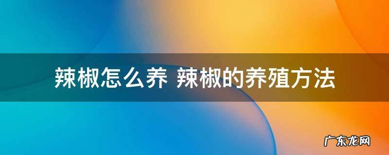 辣椒怎么养 辣椒的养殖方法