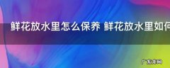 鲜花放水里怎么保养 鲜花放水里如何保养