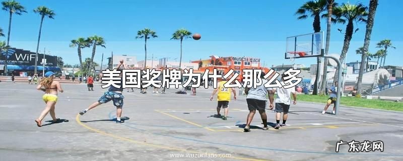 美国奖牌为什么那么多