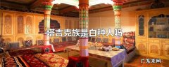 塔吉克族是白种人吗
