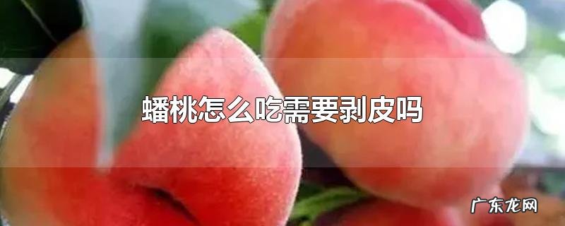 蟠桃怎么吃需要剥皮吗