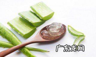 芦荟矿物粉作用与功效 关于芦荟矿物粉作用与功效