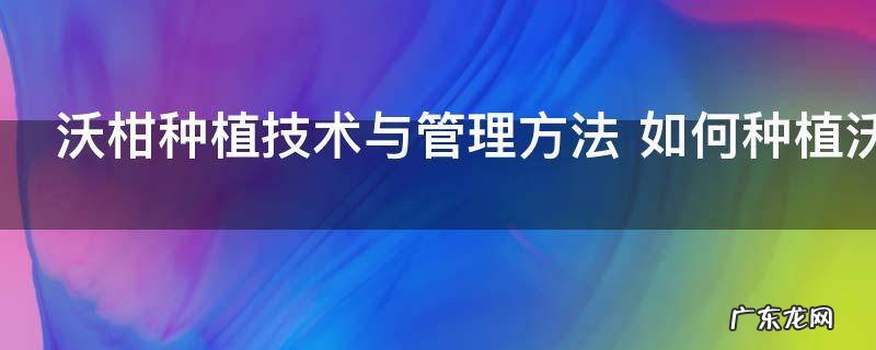 沃柑种植技术与管理方法 如何种植沃柑