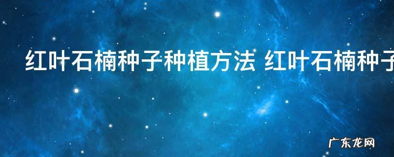 红叶石楠种子种植方法 红叶石楠种子种植方法是什么
