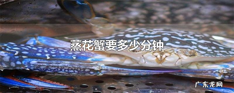 蒸花蟹要多少分钟