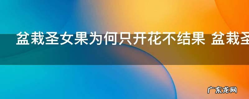 盆栽圣女果为何只开花不结果 盆栽圣女果为什么只开花不结果