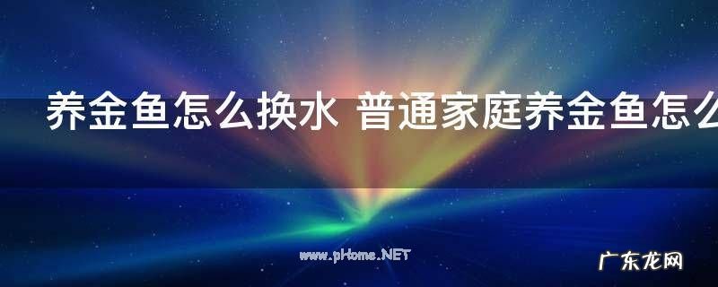 养金鱼怎么换水 普通家庭养金鱼怎么换水