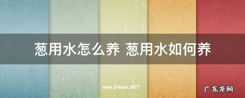 葱用水怎么养 葱用水如何养