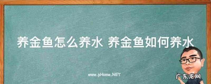 养金鱼怎么养水 养金鱼如何养水