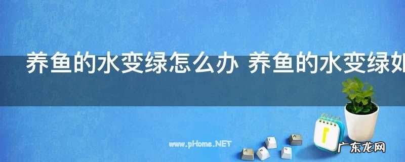 养鱼的水变绿怎么办 养鱼的水变绿如何解决