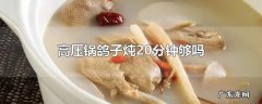高压锅鸽子炖20分钟够吗