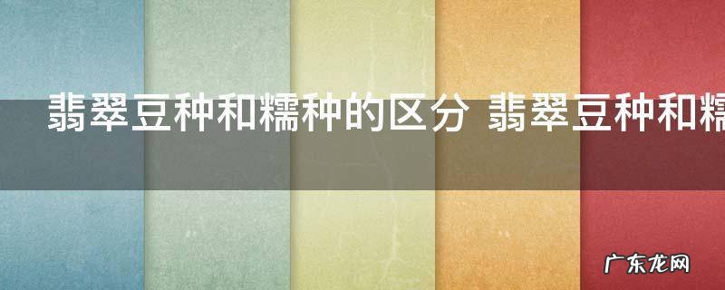 翡翠豆种和糯种的区分 翡翠豆种和糯种如何分辨